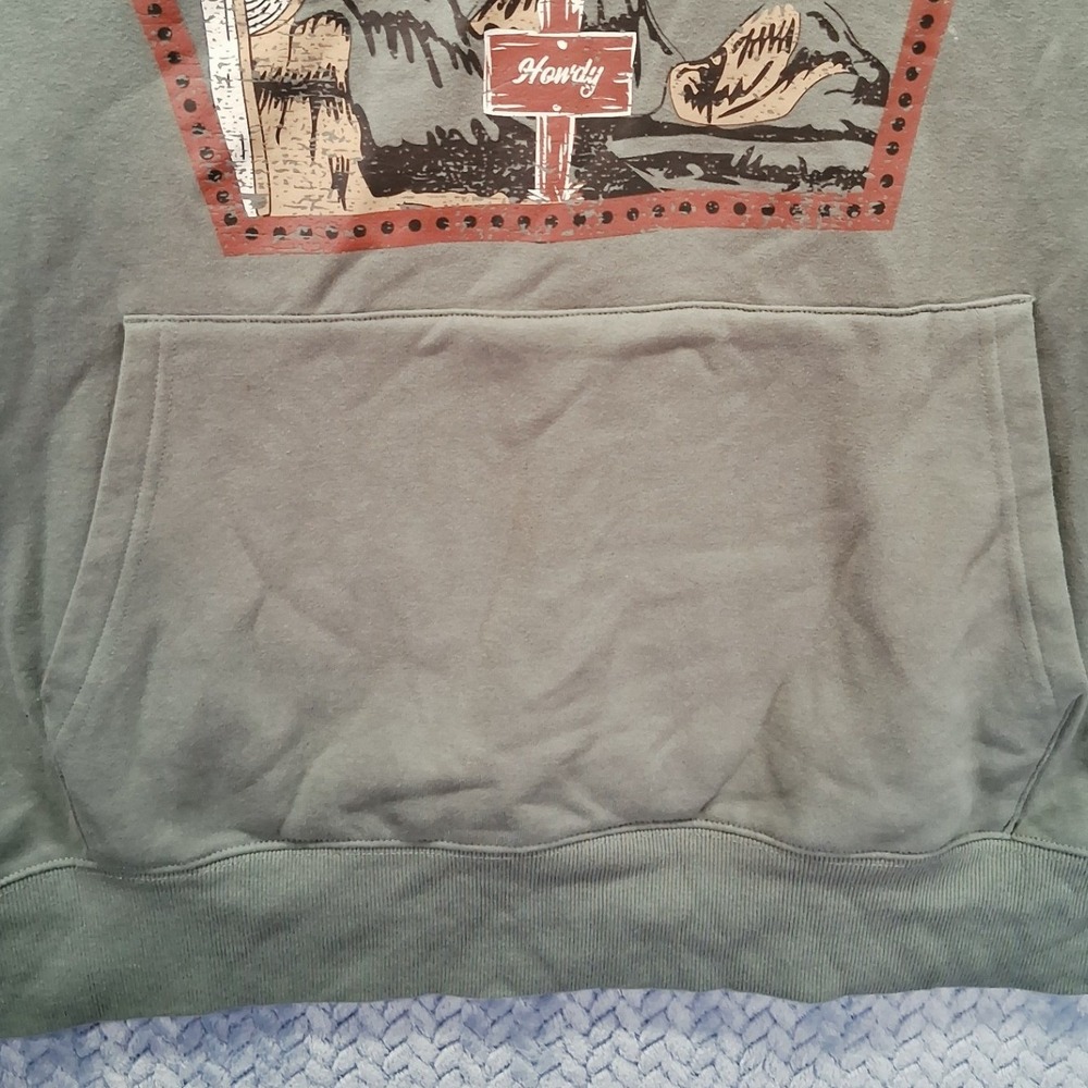 Ariat Womens 3X Wild Desert Graphic Hoodie Sage Green Western Sweatshirt - Picture 3 of 10